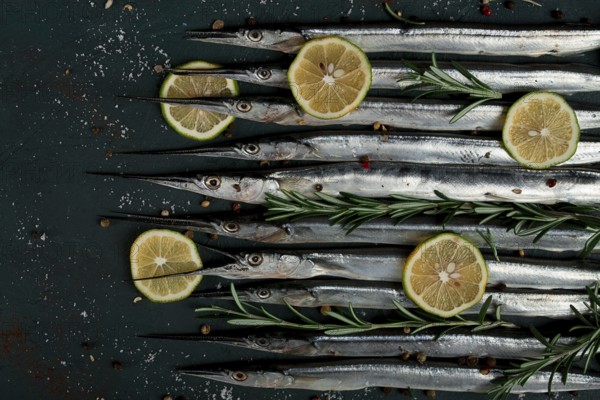 Fresh, Black Sea fish. raw, sargan, sea pike, top view, no people