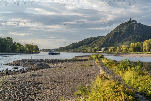 The Rhine at extremely low water, near Bad Honnef Rhöndorf, below the Drachenfels, Nonnenwerth