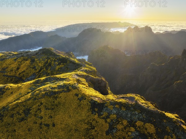 Aerial view at Pico do Arieiro of mountains over clouds with blooming Cytisus shrubs on sunset with