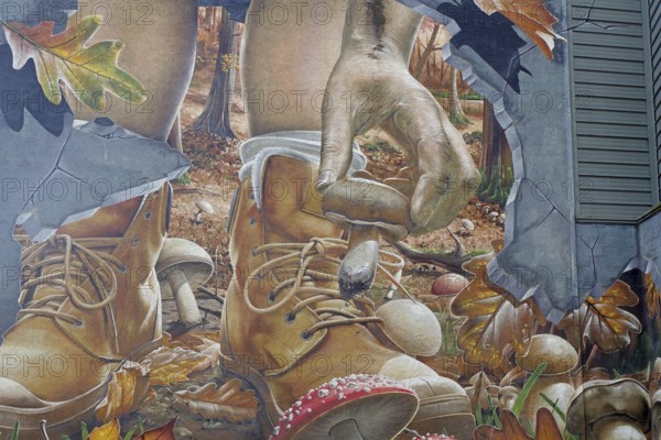 A mural shows a hand picking up a mushroom next to a boot in an autumnal forest, Mural Trail,