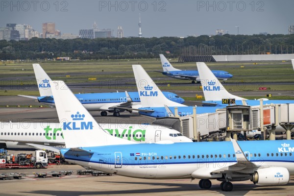 Amsterdam Schiphol Airport, aeroplanes on the taxiway, at the terminal, Gate D, check-in, apron,