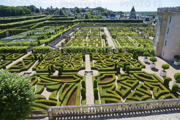 Detailed view of a geometric garden with hedge maze and manicured paths on a sunny day, Villandry
