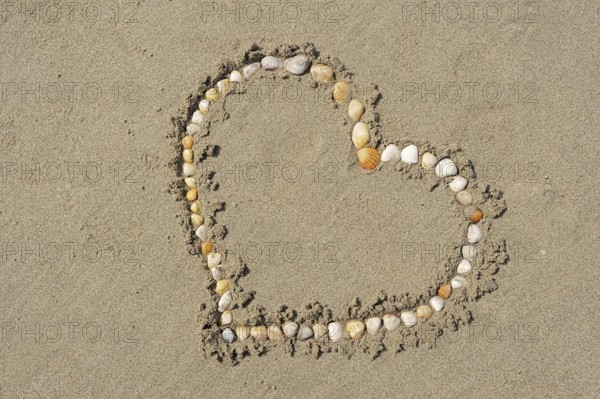 Heart made of mussel shells on the beach, Camargue, Provence, South of France