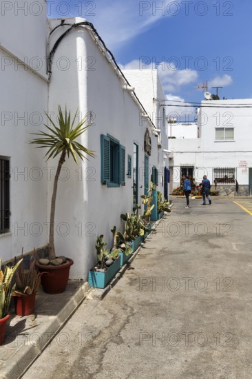 Alley with typical whitewashed houses, Las Negras, Cabo-de-Gata-Nijar, Cabo de Gata, Almeria,