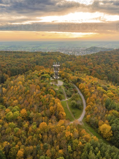 Colourful autumn forest with a tower and vibrant foliage under the sunset sky, Schönbuchturm,
