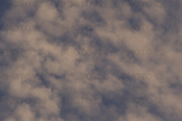 Altostratus white clouds in a blue sky, England, United Kingdom, Europe