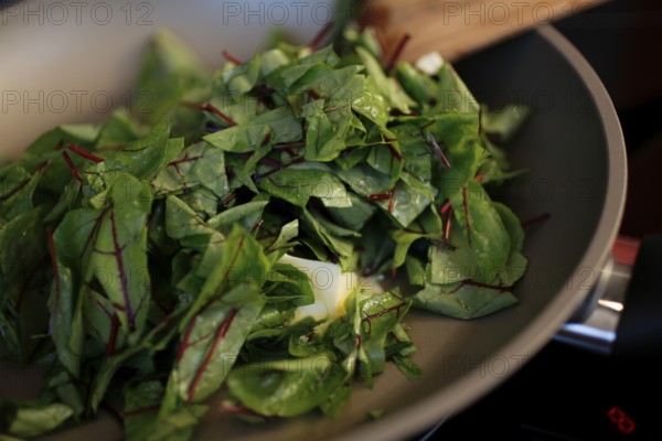Southern German cuisine, preparation of sorrel soup with char, blood sorrel (Rumex sanguineus),