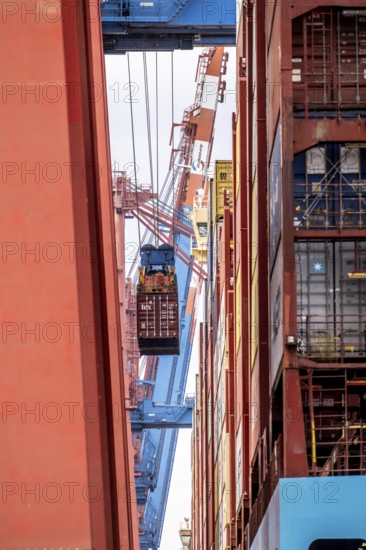 Unloading of the Magleby Maersk container freighter at EUROGATE Container Terminal, Waltershofer