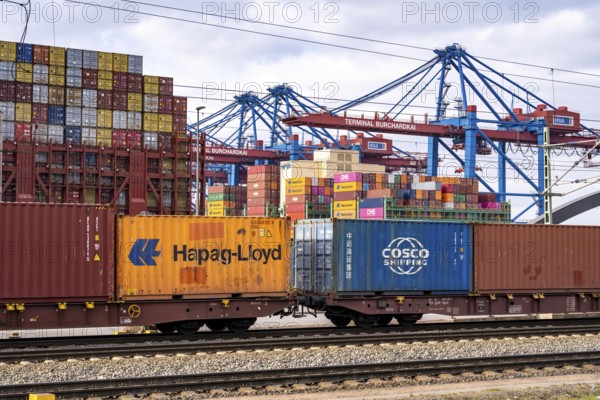 Port of Hamburg, Waltershofer Hafen, container ships, goods train brings and collects freight