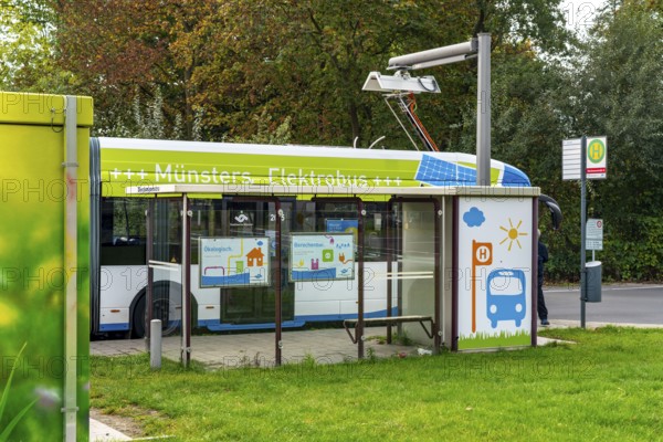 Electric bus from Stadtwerke Münster, at a fast charging station, bus stop, Dieckmannstrasse bus