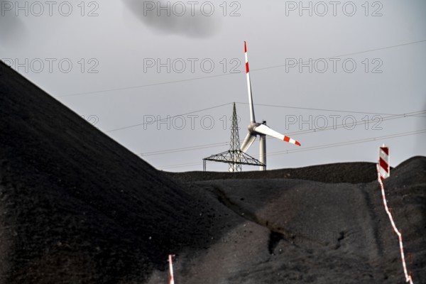 Coal stockpile, coal storage, power station coal, for the STEAG Herne thermal power station, wind