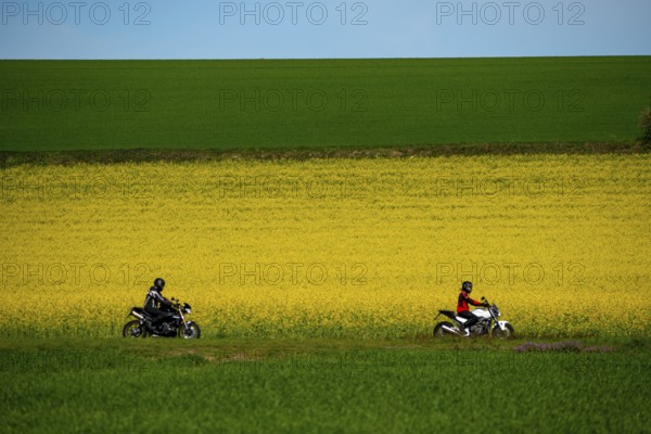 Country road by a flowering rape field, landscape near Mülheim an der Ruhr, Germany, Europe