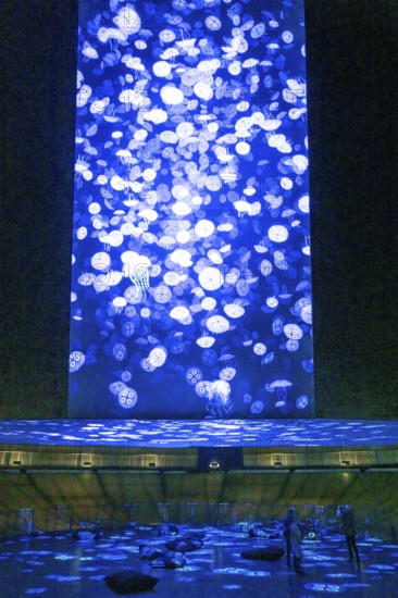 Plante Ozean exhibition in the Gasometer in Oberhausen, the world's oceans in their fragile beauty