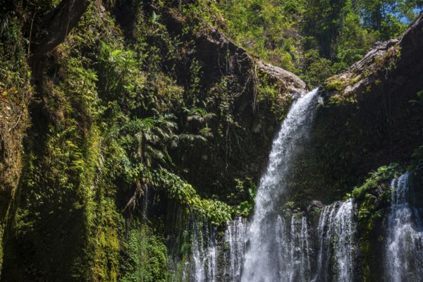 Sendang Gile waterfall, nature, landscape, flowing, river, fresh, clear, clean, environment,