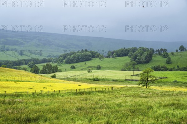 Farms over North Pennines, Cumbria, Durham, Northumberland, North Yorkshire, England, United