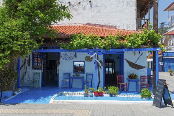 Inviting Greek taverna with blue and white colours and a cosy atmosphere, Sarti, Sithonia,