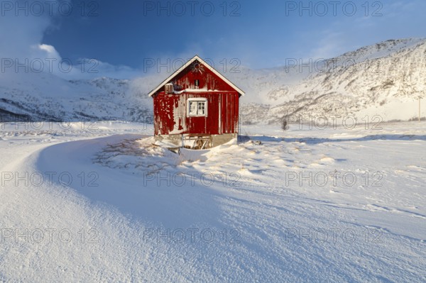 Snow-covered red wooden hut in the morning light, winter, snow cornices, Finnmark, Norway, Europe