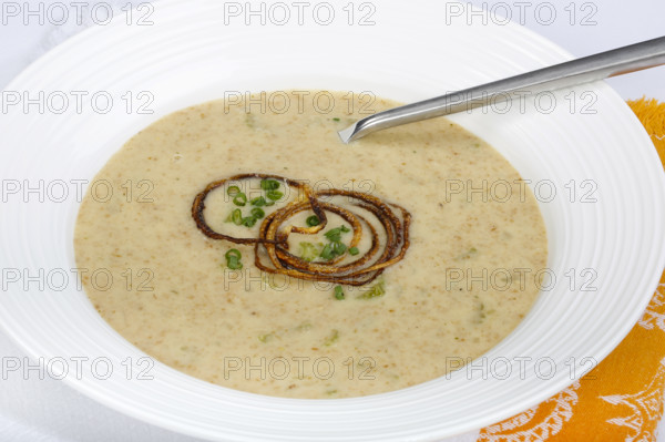 Swabian cuisine, green spelt soup, healthy, vegetarian, regional, soup served in soup plates,