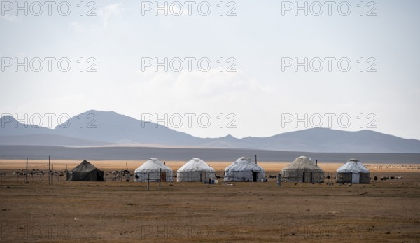 Yurts in the highlands, Song Kul mountain lake, Naryn region, Kyrgyzstan, Asia
