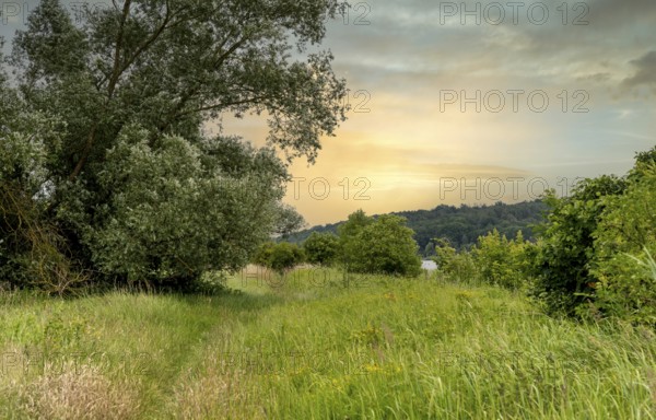 Border area between Germany and Poland, Lower Oder Valley National Park, Brandenburg, Germany,