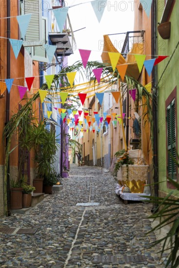 Decorated alley and colourful houses, feast of the Madonna of Regnos Altos, Bosa, district of