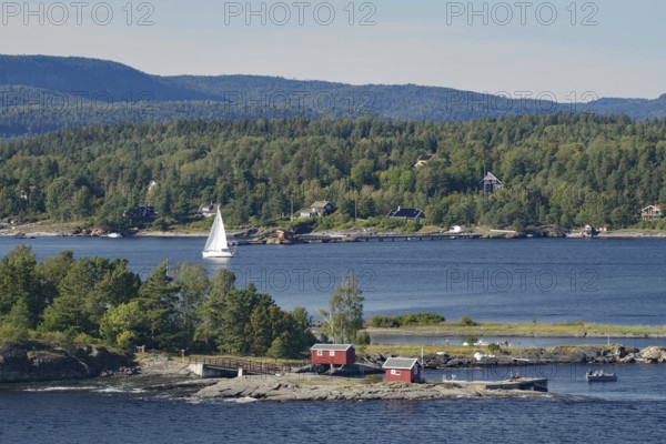 A sailboat sails on calm water, past a small island with forest and houses in the peaceful evening