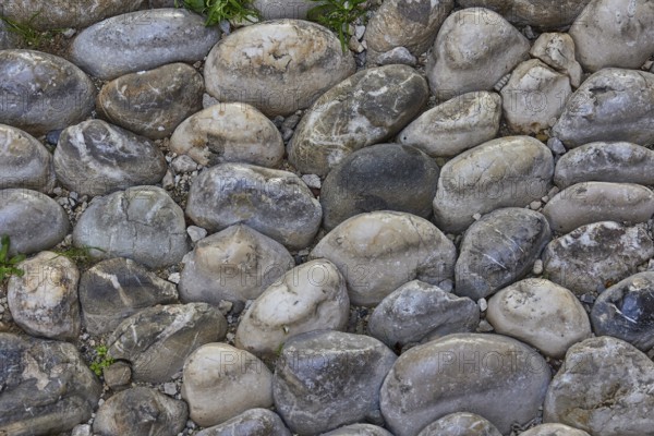 Large round stones lined up close together, predominantly grey tones, some plants in the