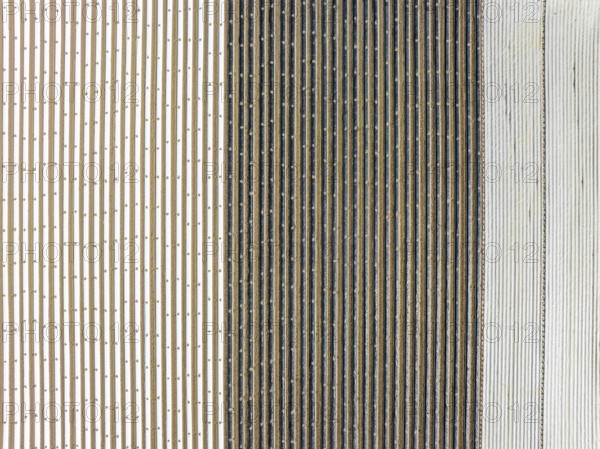Aerial photograph, top-down view of an asparagus field covered with plastic film, in the Moosfeld