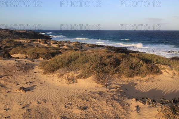 Coastal landscape sandy beach dunes, Corralejo, Fuerteventura, Canary Islands, Spain, Europe
