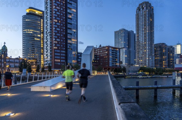 High-rise buildings at Kop van Zuid, at the Rijnhaven harbour basin, Rijnhavenbrug, bridge, Hotel