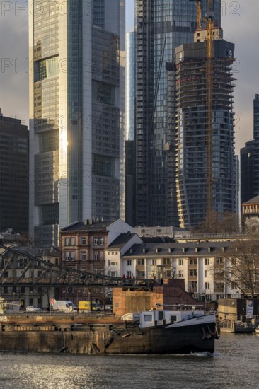 Skyline of the city centre of Frankfurt am Main, river Main, Eiserner Steg bridge, freighter, dusk,