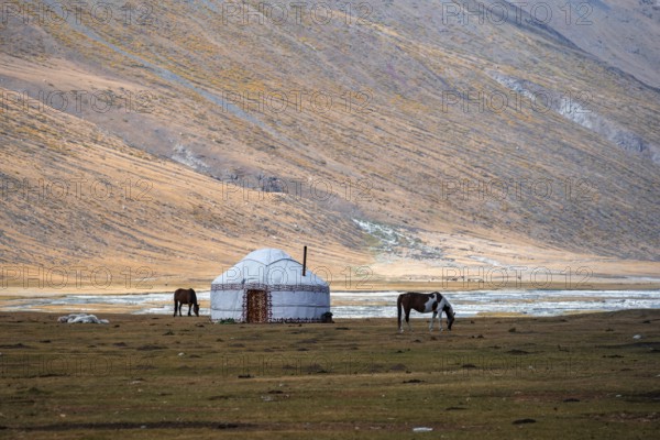 Yurt and horse in the mountains, barren landscape, Burkhan Valley, Tien Shan, Issyk Kul Province,