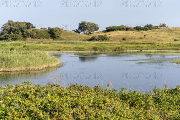 Landscape in the area near Klise Nor near Bagenkop, Langeland Island, Denmark, Europe