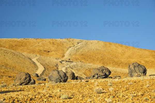 Lava balls, Teide eggs, Huevos del Teide, Montana Blanca, Picio del Teide, 3718m, Parque Nacional