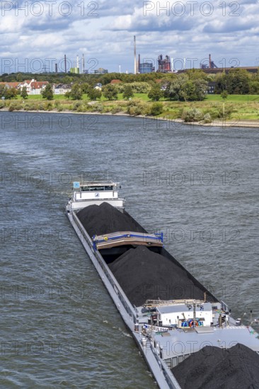 Rhine near Duisburg-Laar, freighter loaded with coal, houses on the dyke road, industrial backdrop