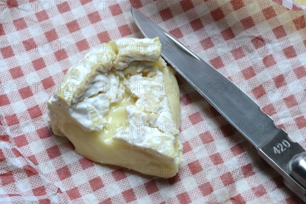 French Camembert, sliced cheese, France, Europe