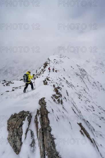 Ski tourers on the summit of the Köllkuppe or Cima Marmota, snow-covered mountain landscape, Ortler