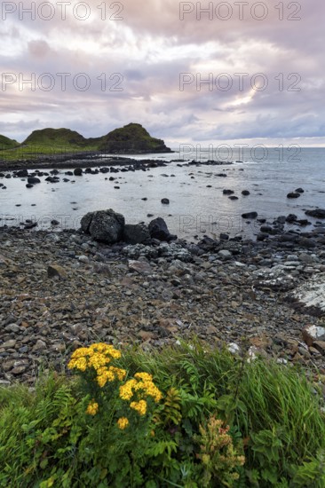 Rocky coast, coastline, dusk by the sea, Causeway Coastal Route, Antrim, Northern Ireland, Great