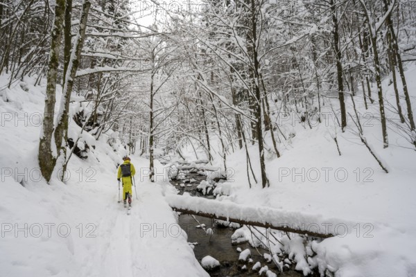 Ski tourer in snowy winter forest with mountain stream, Hachelbach in Josefstal, Neuhaus,