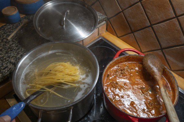 Spaghetti bolognese is prepared on the cooker, Mecklenburg-Vorpommern, Germany, Europe