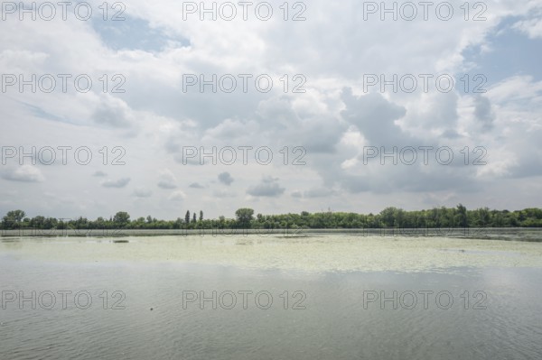 Parco del Mincio, Mantua, Italy, Europe