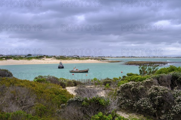 Harbour, Struisbaai, Garden Route, Western Cape, South Africa, Africa