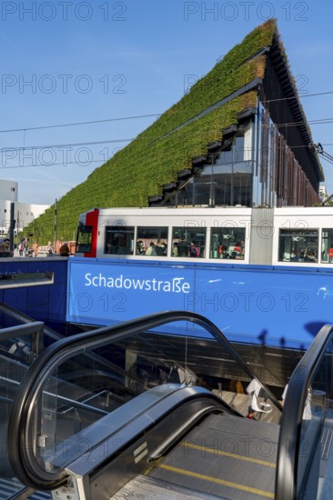 Largest green façade in Europe, on the Kö-Bogen II, building, shopping and office building on