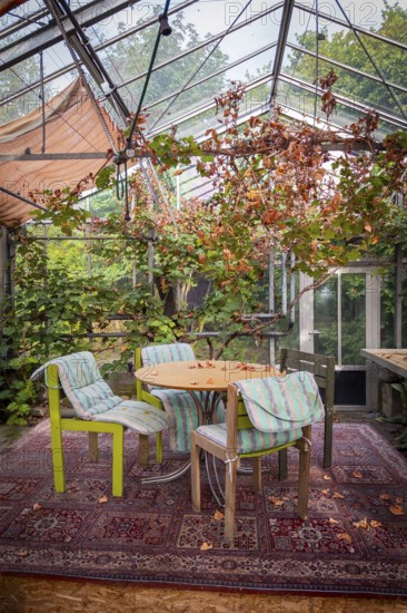 Greenhouse, conservatory with vintage-look seating, interior design, lifestyle, retro, alternative