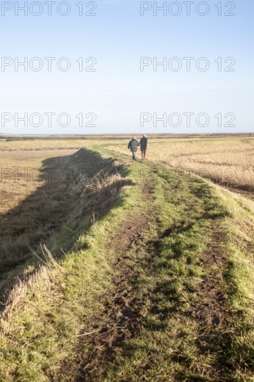 Two people walking on coastal defence wall at Shingle Street, Suffolk, England, United Kingdom,