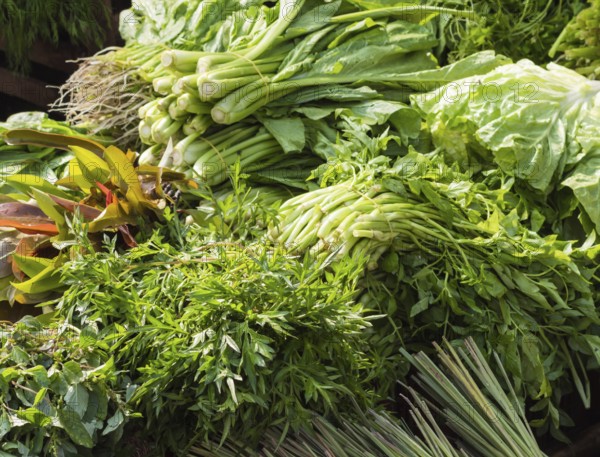 Fresh green stuff on the market