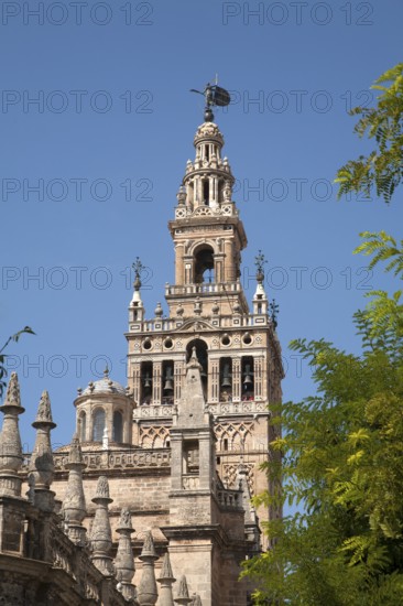 La Giralda tower of the cathedral originally built as a Moorish minaret in the twelfth century,