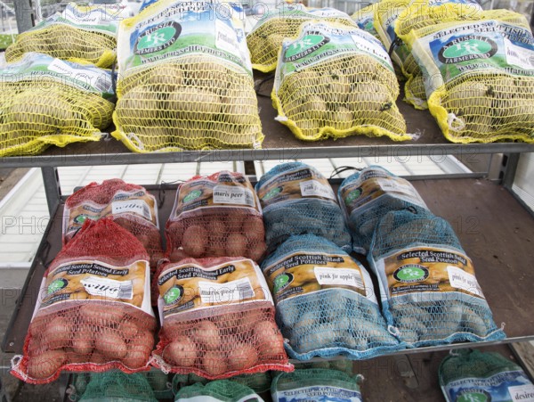 Bags of seed potatoes on sale Ladybird Nurseries garden centre, Gromford, Suffolk, England, UK