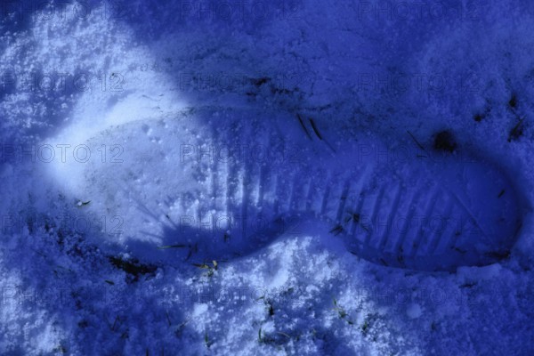 Tracks in the snow