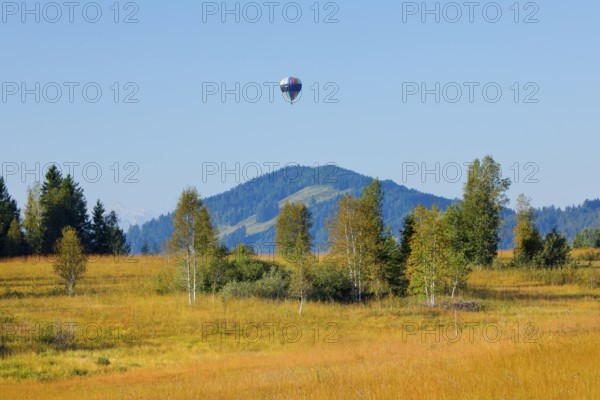 Hot air balloon over the Rothenthurm high moor in the canton of Schwyz, Switzerland, Europe